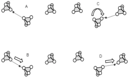 Fig. 1) [20-22]. 