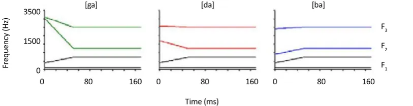Figure 1. left: /ga/ Schematic, center: /da/ Schematic, right: /ba/ Schematic stimuli in ms [2]