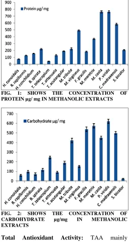 FIG. PROTEIN µg/ mg IN METHANOLIC EXTRACTS