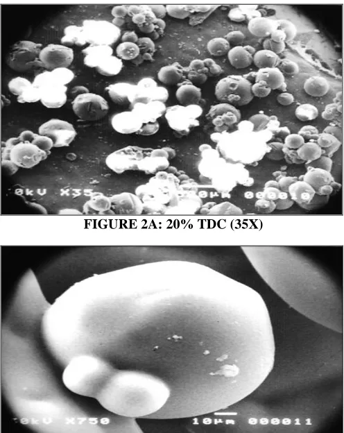 FIGURE 2A: 20% TDC (35X) 