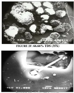 FIGURE 2F: 66.66% TDS (35X) 