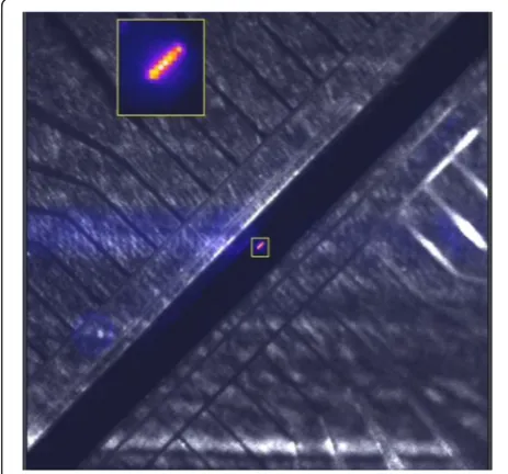 Figure 4 Schematic and pictures ofof a surface trap. The red and blue rectangles indicate RF and DCelectrodes respectively