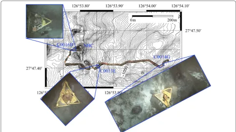 Fig. 4 3D map generated from data collected by the SeaXerocks 2 mapping system in 1 h, overlaid on the depth map of dive site