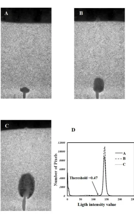 Figure 3. A-C three images with different sizes of bubbles and D) the light intensity histograms