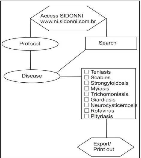 Figure 1. Flowchart of the main stages of use of SIDONNI  