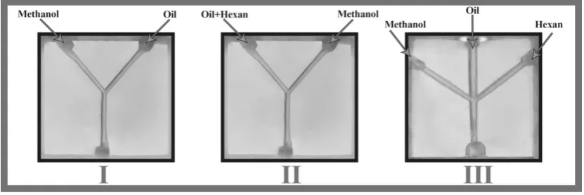 Figure 1. Experimental set-up of the transesterification reaction carried out in a microreactor