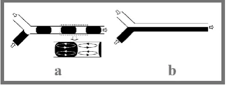Figure 5. Major stable flow regimes possible for a biphasic mixture in capillary microreactors: (a) slug flow, (b) parallel flow
