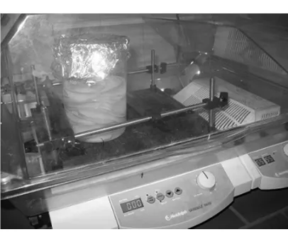 Figure 3. Samples in shaker incubator during the process at 55°C. 