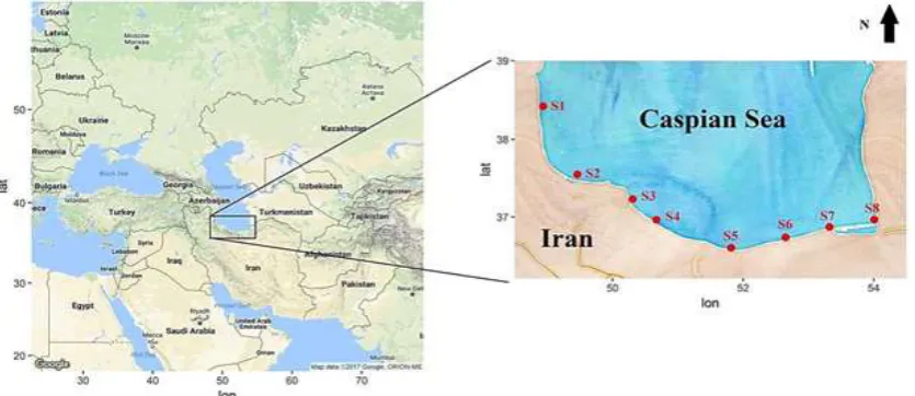 Figure 1: Map showing the sampling locations in the southern Caspian Sea (2014). 