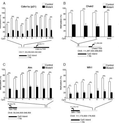 Fig. 3. Key DNA damage responsegenes are significantly demethylatedin Dnmt1-ablated perinatal intestinalepithelial progenitors