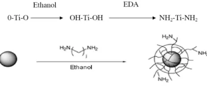 Figure 1. Schematic of amino-functionalization of nano TiO2 using a EDA 