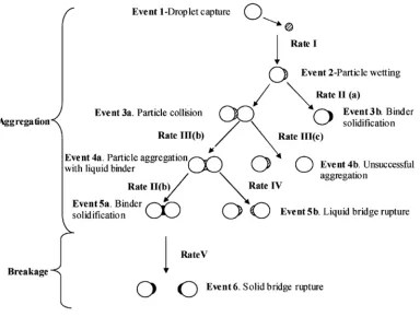 Figure 2. Sequence of events in fluidized bed melt granulation [12] (with permission, License number: 3110740697682)