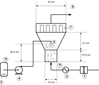 Figure 3. Experimental setup of  fluidized bed granulator: (1) air blower; (2) air heater; (3) binder vessel;  (4) binder pump; (5) binder nozzle; (6) air outlet connection; (7) air filters