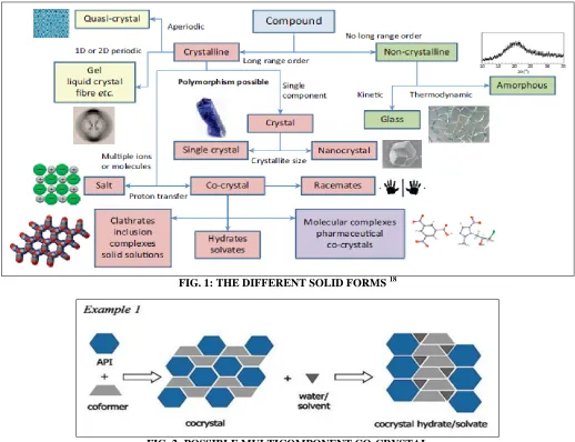 FIG. 2: POSSIBLE MULTICOMPONENT CO-CRYSTAL 