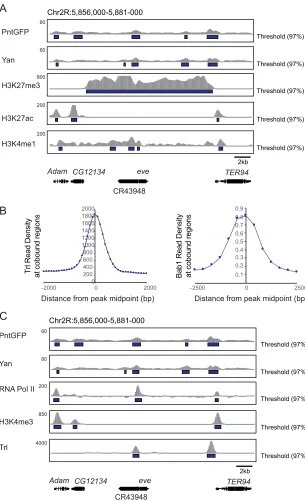 Fig. 5. Chromatin marks and TF occupancy associatedwith thesignature comprising H3K27me3 and H3K4me1 anddepletion of H3K27ac
