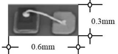 Fig. 2.  Comparison of Device SP to size of a grain 