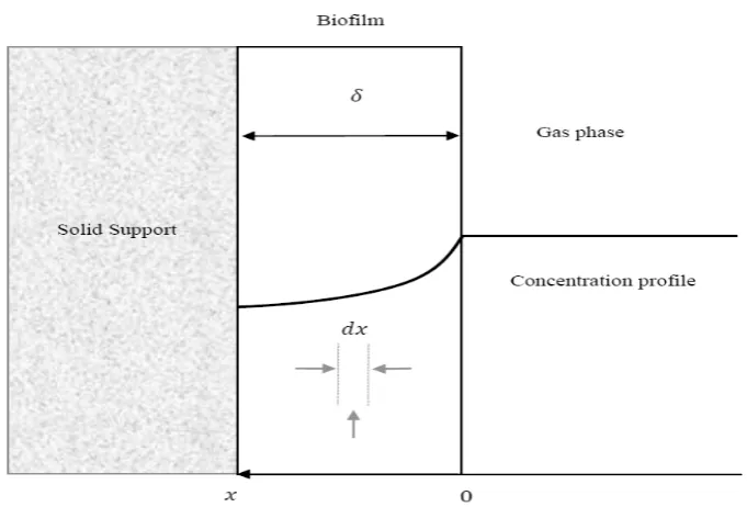 Figure 1. Schematic diagram of biodegradation of pollutants in biofilm. 