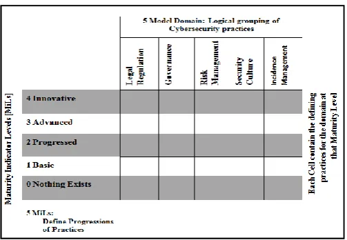Figure 2.8. C2M2 for network system  