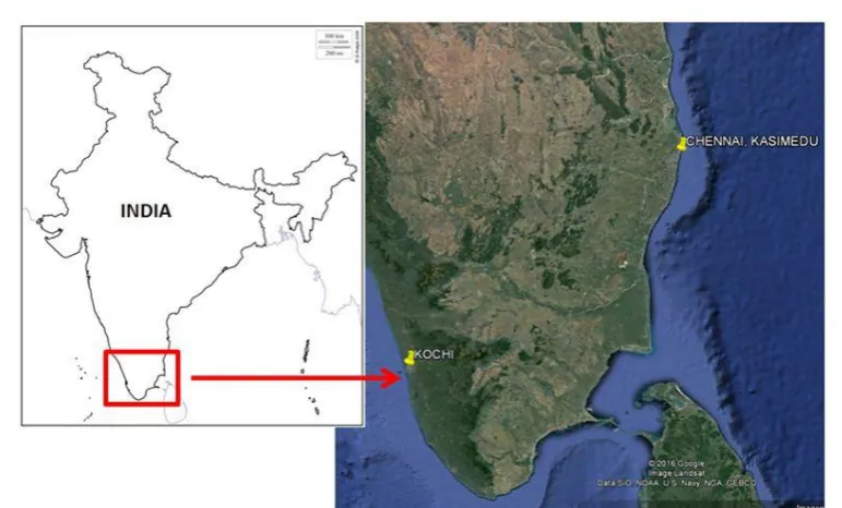 Figure 1: Map of study areas Chennai (east coast) Kochi (west coast). 