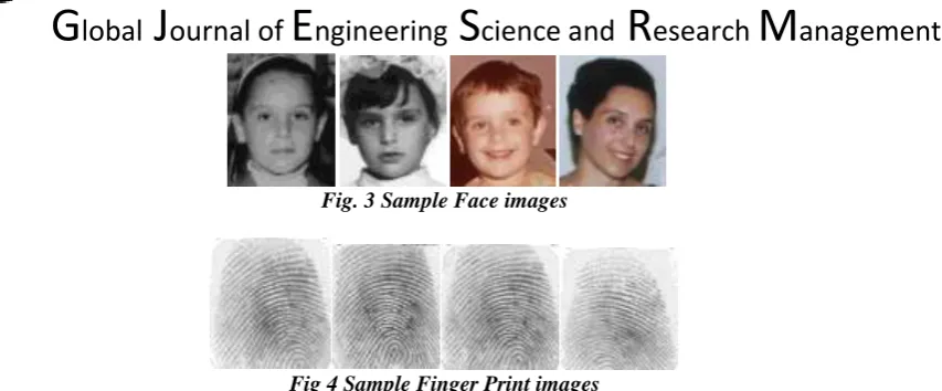 Fig. 3 Sample Face images  