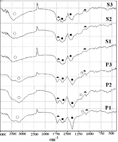 Figure 2. FTIR spectra of La1-xAgxMn0.8Cu0.2O3±δ precursor final solution prepared by Pechini (P1, P2, P3) and sol gel methods (S1, S2, S3) 