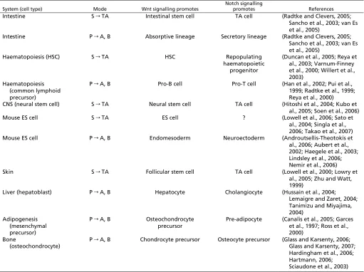 Table 1. Inﬂuence of Wntch signalling on cell fate decision