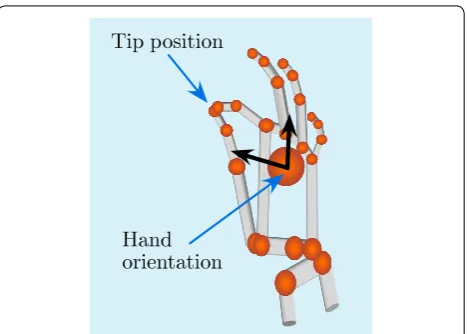 Fig. 3 Skeletal representation of the tracked hand by the Leap Motion Controller. The hand orientation is defined by the normal vec‑tor to the palm and the direction vector from the palm to the fingers