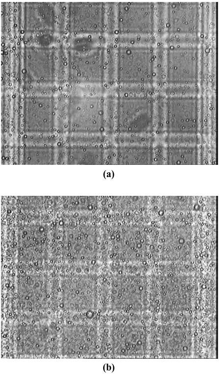 Figure 4. Photomicrographs of emulsions: (a) Triton x-100 with concentration of 0.0001125 ml/100ml solution; (b) Triton x-100 with concentration of 0.001125 ml/100ml solution