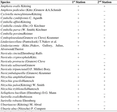 Table 2: The epilithic diatom species recorded at the 1st and 2nd stations in Kozluk Creek (Arapgir-Malatya)