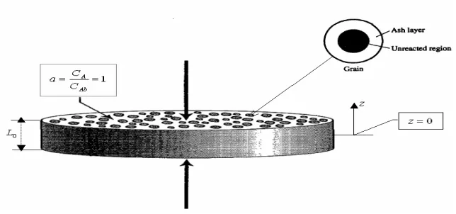 Figure 4. Schematic representation of the grain model. 