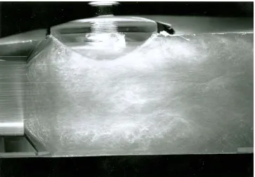 Figure 5. Cavitation generated cloud 
