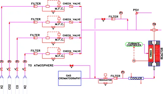 Figure 1. The schematic diagram of the reactor setup. 