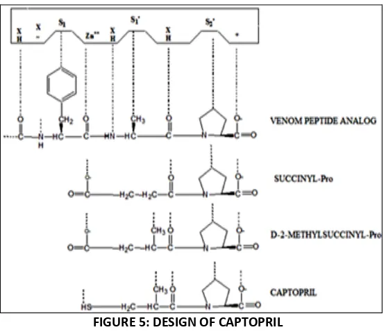 FIGURE 5: DESIGN OF CAPTOPRIL 