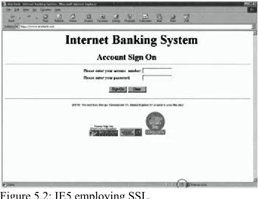Figure 5.2: IE5 employing SSL.  