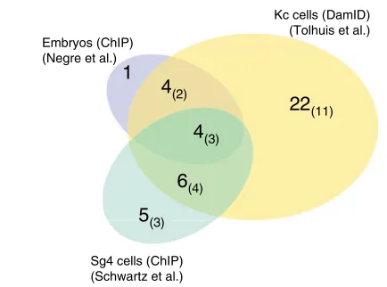 Fig. 2. Overlap between Polycomb targets in three differentstudies. A comparison of results from three studies which looked atbinding profiles for several PcG proteins using tiling path arrayscovering all or part of the Drosophila genome (Negre et al., 200