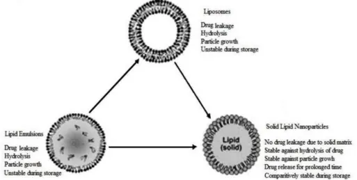 FIG. 2: A DIAGRAMMATIC REPRESENTATION ON SLN OVER EMULSIONS AND LIPOSOMES