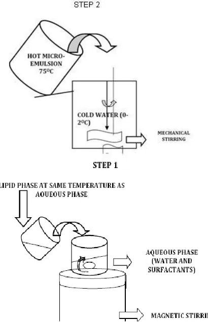 FIG. 6: MICROEMULSION METHOD 