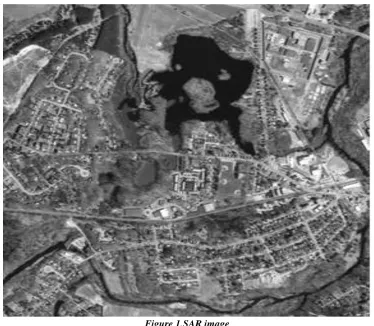 Figure 1.SAR image 