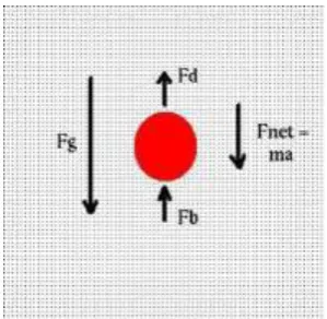 Figure (1) show the forces subjected to the particle when falling in fluid. Equation of motion for particle in fluid that can be used for non- Newtonian fluid is derived in this study depend on taken free body diagram for the particle that falling in fluid