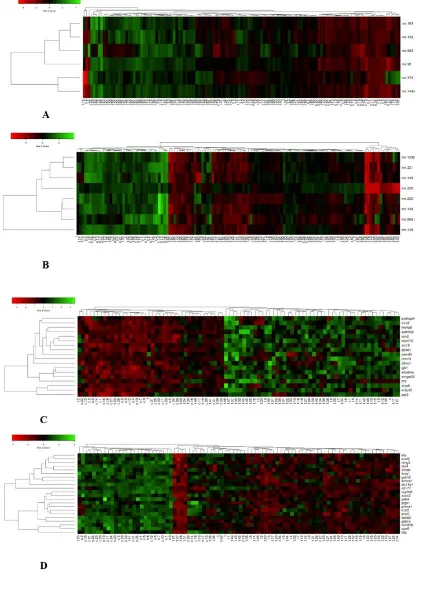 Fig. 1. The heatmap plots of the deregulated microRNAs in GSE21036 dataset and deregulated genes for integrative analysis of GSE46602, GSE69223, and GSE104749 datasets