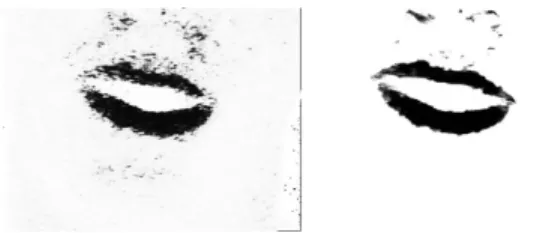 Figure 5: Filtered (with (5)) red-hue image (left) and output of the neural network cert-10 (right).