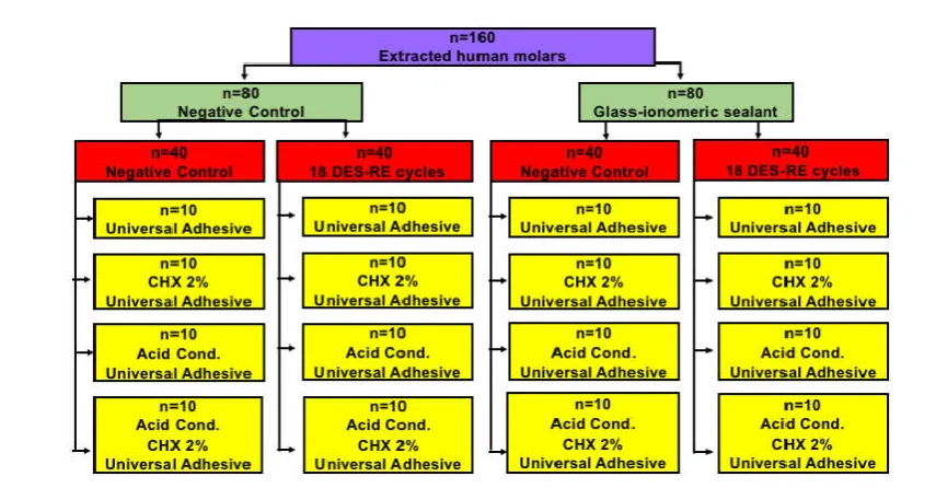 Table 1. Composition of the materials used in the study, according to the manufacturer    