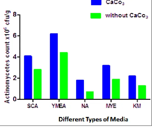 FIGURE 2: COMPARISON OF AVERAGE OF CULTURABLE ACTINOMYCETES COUNT FROM CaCo3 TREATED AND WITHOUT CaCo3 TREATED SOIL SAMPLES ON DIFFERENT TYPES OF MEDIA 