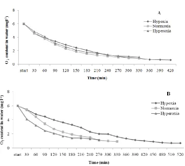 Figure 5:  Oxygen consumption (mg/l) of  H. huso reared at different oxygen levels for 8 weeks
