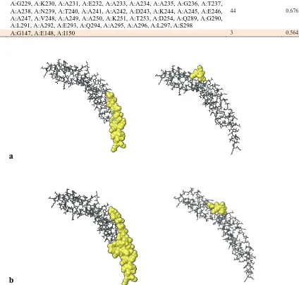 Fig10. B cell epitopes with the highest PI score. 2 linear (a) and 2 discontinuous (b) predicted epitopes are represented