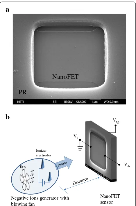 Figure 2 The fabricated nanoFET device and experimentalset-up for negative ions detection in air