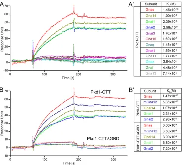 Fig. 3. Surface plasmon resonance