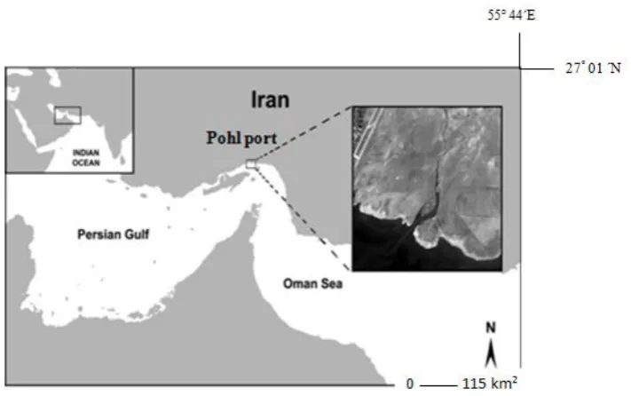 Figure 1: Location of Pohl Port mangrove forest in northern Persian Gulf (Derived from Mokhlesi, 2010) 