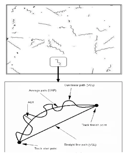 Figure 1: Spermatozoa movement scheme