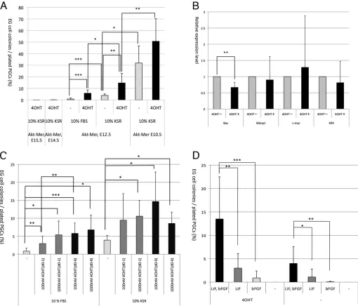 Fig. 1. The effects of AKT activation on reprogramming of PGCs into EGCs. (A) PGCs purified from AKT-MER×mil1-GFP (3.0G) transgenic embryos at